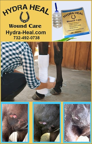 Hydra-Heal™ a division of Animal Health Enterprises, LLC — Health (Hydra-Heal™ is an Aloe Vera Gauze Pad (or Gel) that helps sooth and promote…)