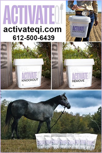 KNOCKOUT™ by ActivateQi — Health (Brittany Jacobsen and Rachel Schaefer, owners of ACTIVATEQI have paired their…)