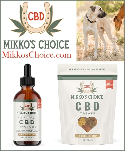 Mikko's Choice — Canine CBD - product image