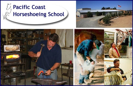 Pacific Coast Horseshoeing School with Bob Smith — Equine Schools ("If you have made the decision to become a successful Farrier, you are going to…)