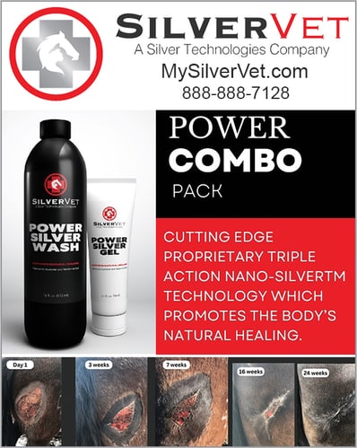 Power Silver Wash & Silver Gel by SilverVet — Health (For years, silver has been known to possess numerous health benefits)