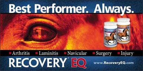 Recovery-EQ by Biomedica Labs — Health (Voted “Best Arthritis and Pain Relief Product in)