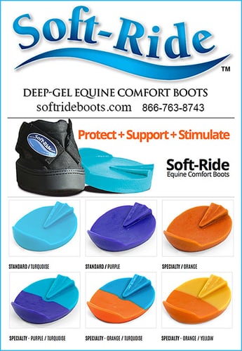 Soft Ride Equine Boots By Soft Ride, Inc. — Tack (Designed to carry horses swiftly and efficiently over long distances at speeds…)