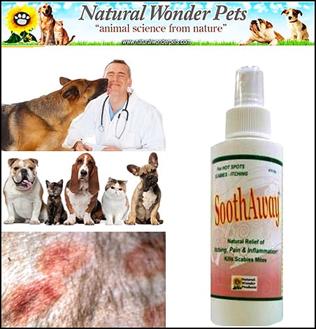 SoothAway&trade; By Natural Wonder Pets For Hot Spots and Skin Irritation