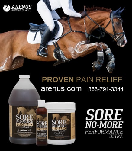 SORE NO-MORE® — Health (Products by Arenus SORE NO-MORE® is a family of natural topicals)