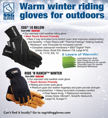 SSG Riding Gloves — Tack (For Every Riding Discipline)