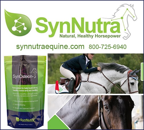 SynOsteon and SynOsteon Maintenance — Health (SynNutra Equine has created 2 highly)