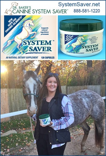 System Saver™ Equine — Health (was developed by a)
