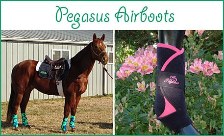 THOUGHTFULLY DESIGNED LEG PROTECTION FOR YOUR HORSE — Health (Don't settle for just any)