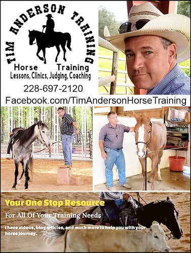 Tim Anderson Horse Training — Equine Schools (With over 20 years of training Police horses, Reiners, Performance horses, and…)
