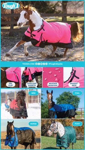 Tough® 1 Blankets by JT International — Tack (offer the best in protection, design, fit and durability)