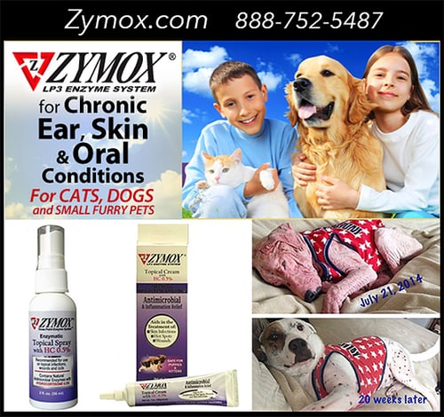 Zymox&reg; Topical Spray or Cream for HotSpots by Pet King Brands