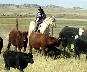 Guest Ranch visitor and Intern Katrina