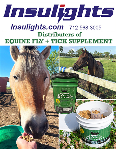 Insulights Distributers of Equine Fly + Tick Supplement for horses! 