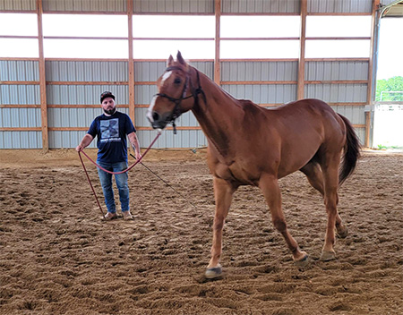 Jordan Puccio, US Army, rode Warrior Ranch retreat horse, Chance.