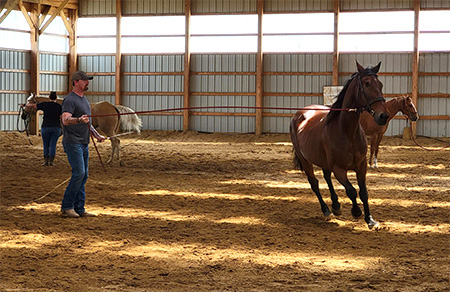 Ryan Secor, USMC, rode Warrior Ranch horse, Sully, a one-eyed Standardbred.