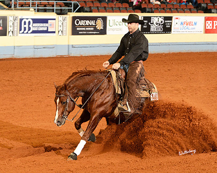 Learn Horsemanship Online