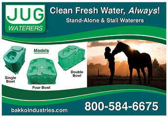 JUG Waterers for Horses