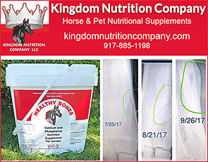 Healthy Bones for Horses by Kingdom Nutrition Company