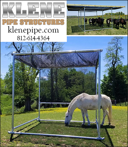 Klene Pipe Structures for Horse Shade