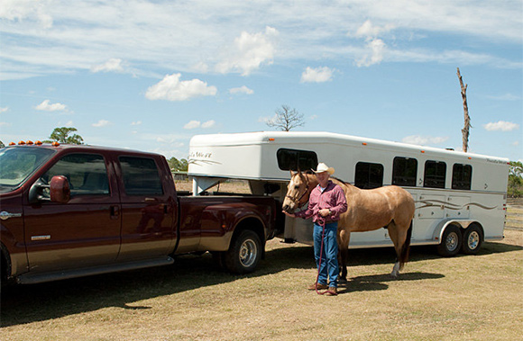 Are you ready to travel with your horse?