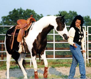 Michelle Labriolla Teaches Horse Cues