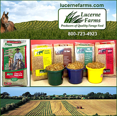 Lucerne Farms Producers of Quality Forage Feed for Horses.