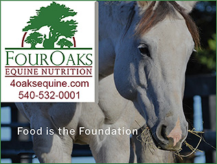 4 Oaks equine Nutrition Dr Martha Faraday