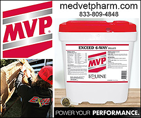 Med-Vet Pharmaceuticals for Horses