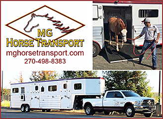 MG Horse Transport Horse Shipping
