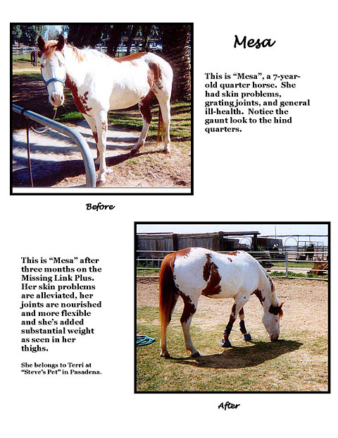 Missing Link Horse Nutrition Supplements