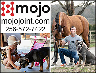 Mojo Horse Joint Supplement