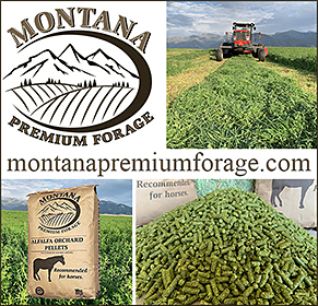 Montana Premium Forage for Horses