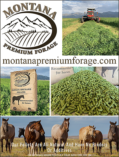 Montana Premium Horse Forage
