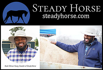 Noah Tillman-Young of STEADY HORSE Horse Training!