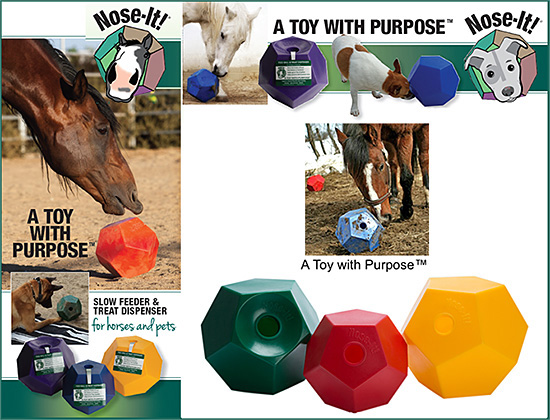 Nose-It! Slow Feeder Treat Dispenser for Horses!