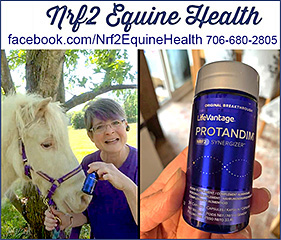 Nrf2 Equine Health