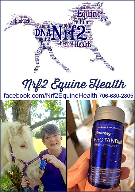 nrf2 Equine Health  Antioxidant Horse Supplement