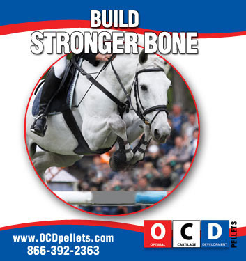 OCD Pellets for Stronger Bones Horses