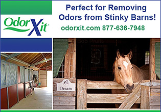 OdorXit Horse and Pet odor deodorization