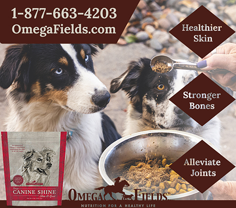 Omega Fields Healthy Products for Dogs