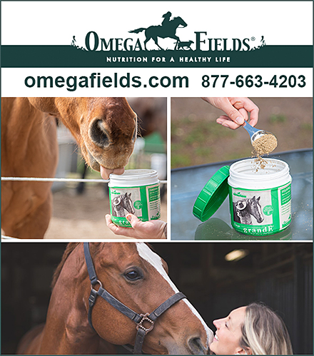 Omega Fields Vitamin E Supplement for Horses