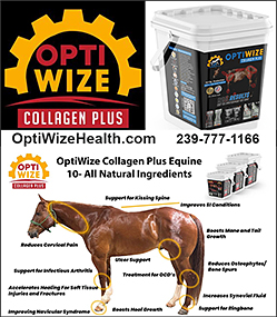 Collagen Plus Horse Supplement by OptiWize Horse Health Products