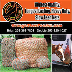 Orange Slow Feeder
