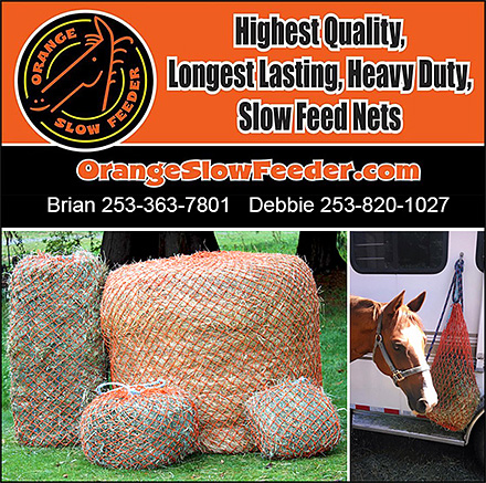 Horse Slow Feeder from Orange Slow Feeder