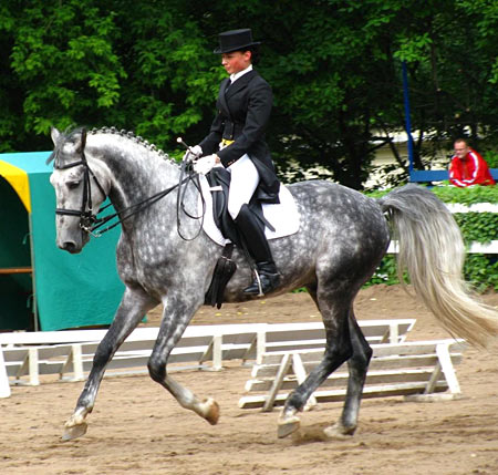 Jeannie Telstad riding Unipol,  Orlov Trotter