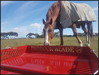 Best way to remove manure from your pasture.