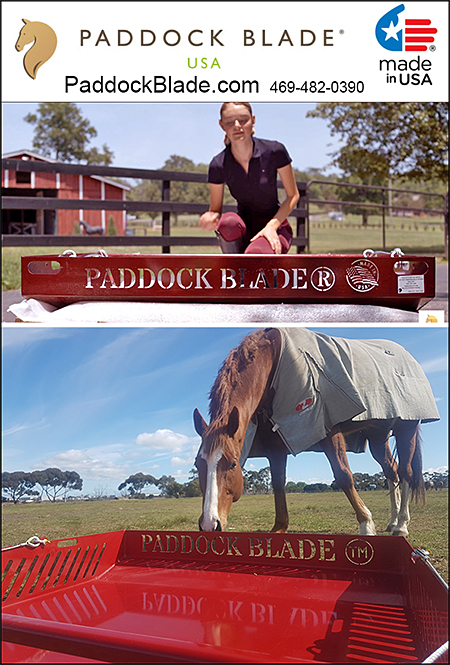 PADDOCK BLADE Horse Pasture Cleaner