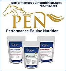 Performance Equine Nutrition