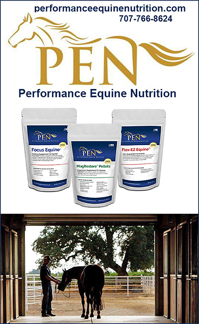 Performance Equine Nutrition